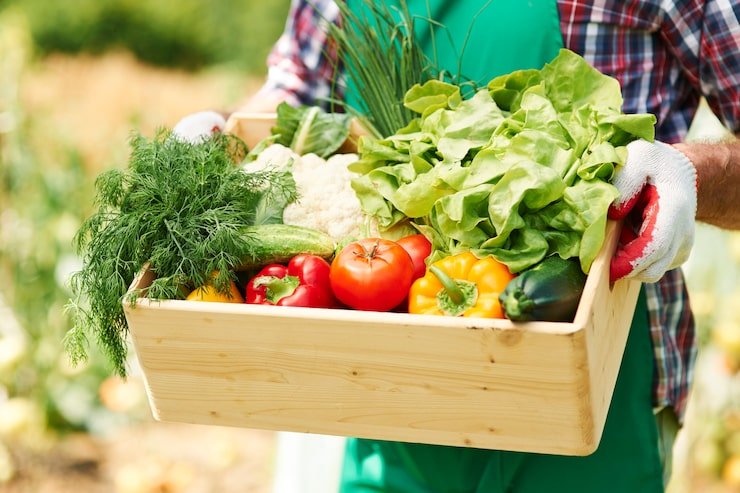 close-up-box-with-vegetables-hands-mature-man_329181-4600