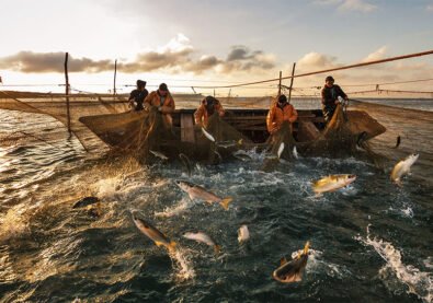 fishingindustry