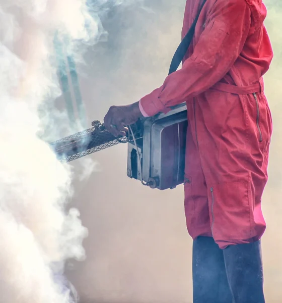 fumigation-treatment