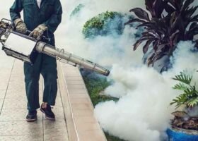 fumigation-pest-control-services