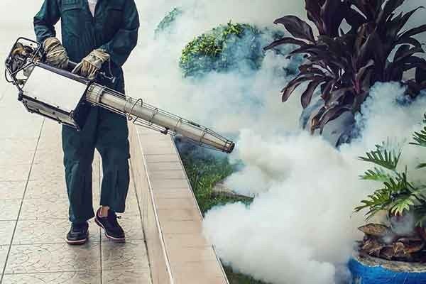 fumigation-pest-control-services